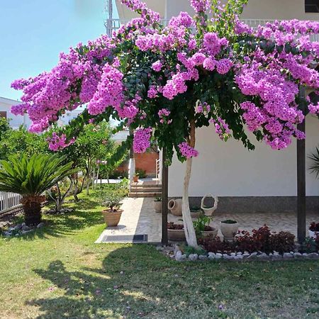 Hotel Vila Adriatik Ulcinj Exterior foto