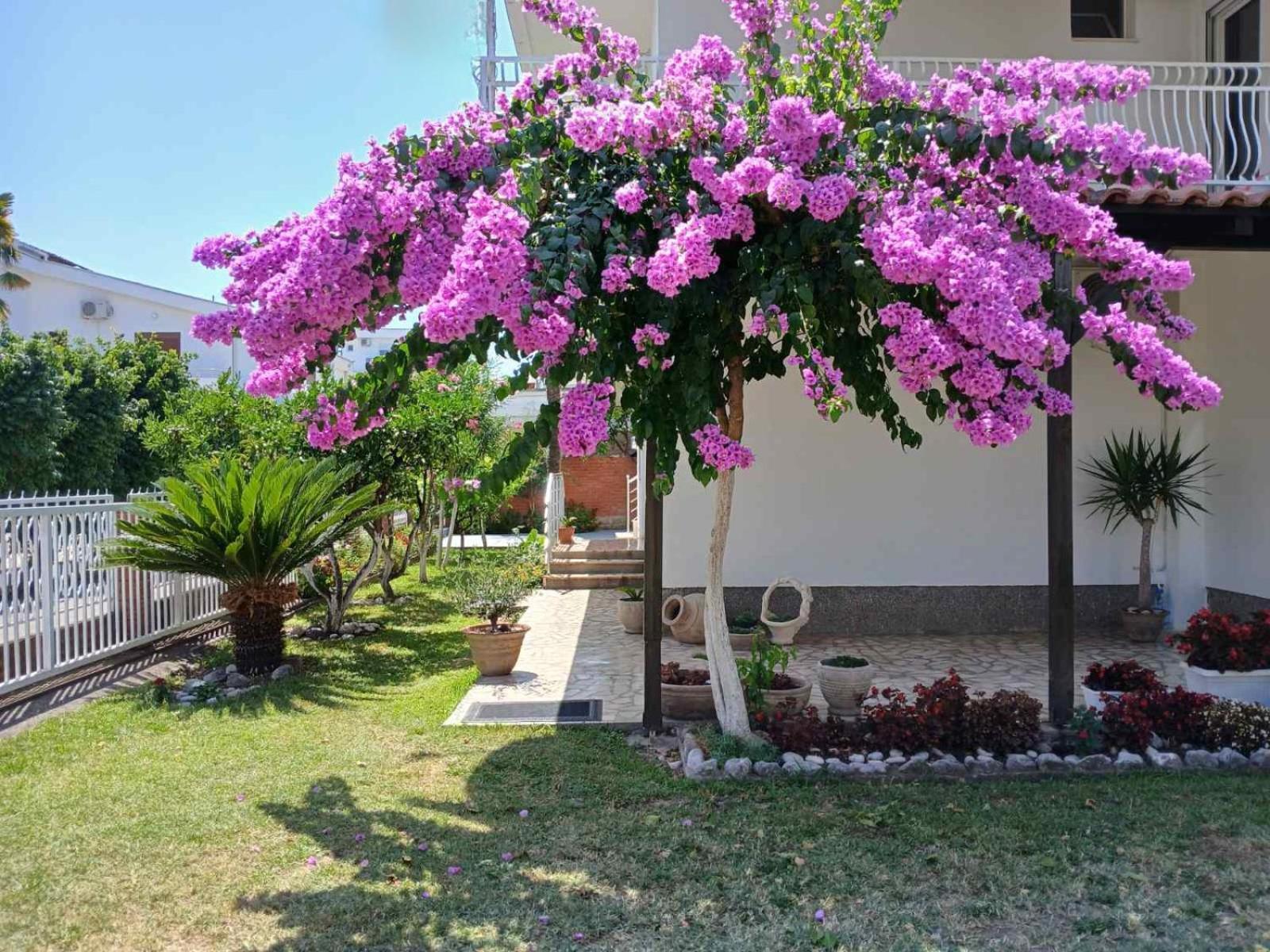 Hotel Vila Adriatik Ulcinj Exterior foto